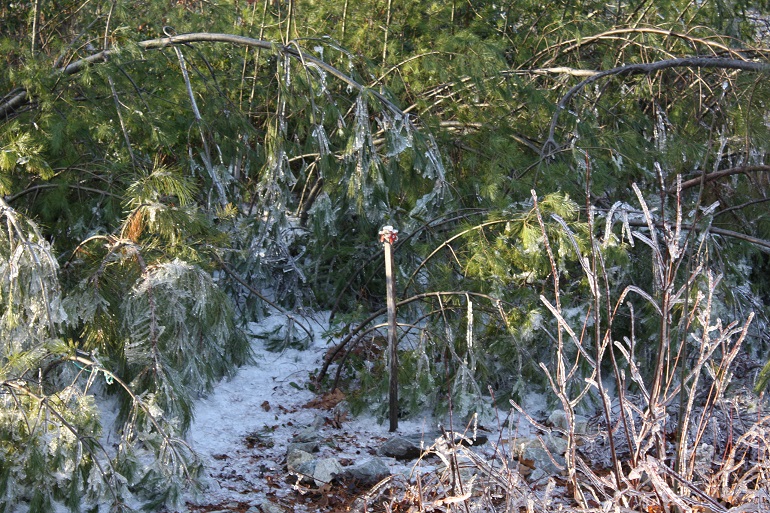 Ice1